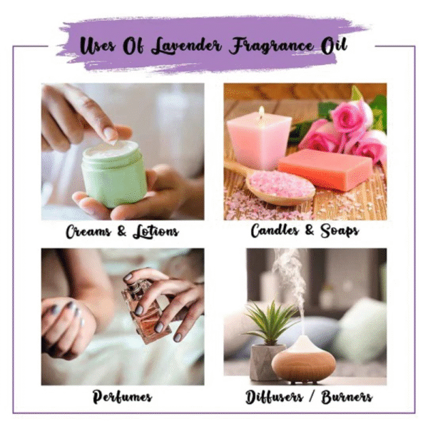 Lavender Fragrance Oil